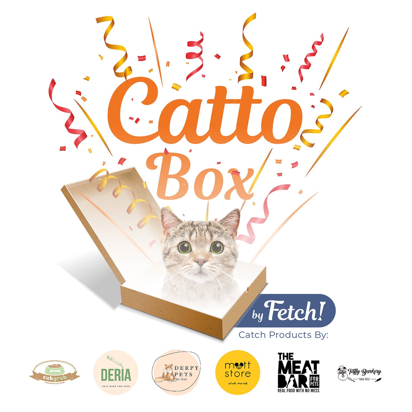 Catto Surprise Box